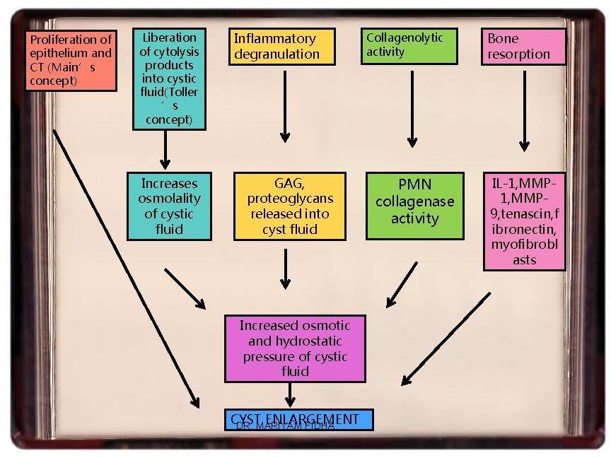 Proliferation of epithelium and CT (Main’s concept) Liberation of cytolysis products into cystic fluid(Toller