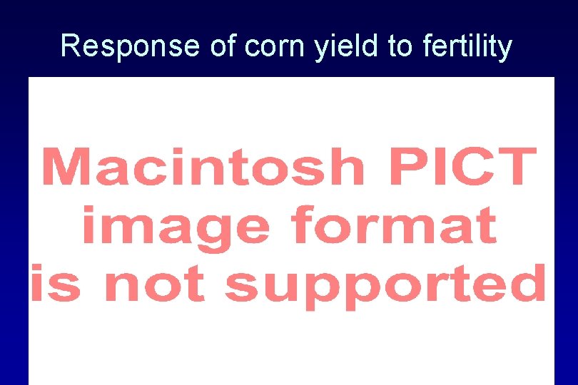 Response of corn yield to fertility 