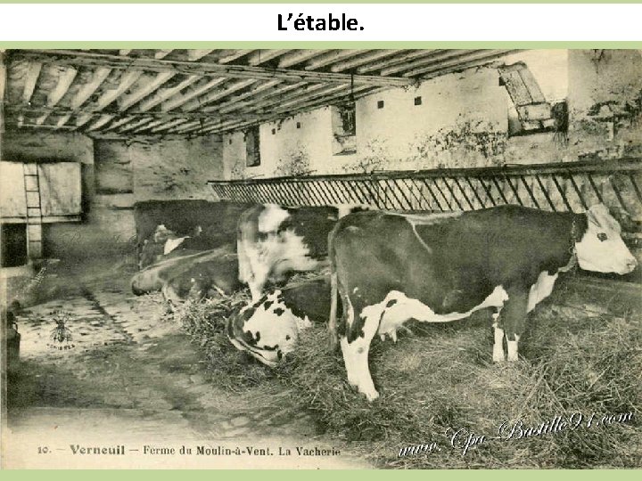 L’étable. 