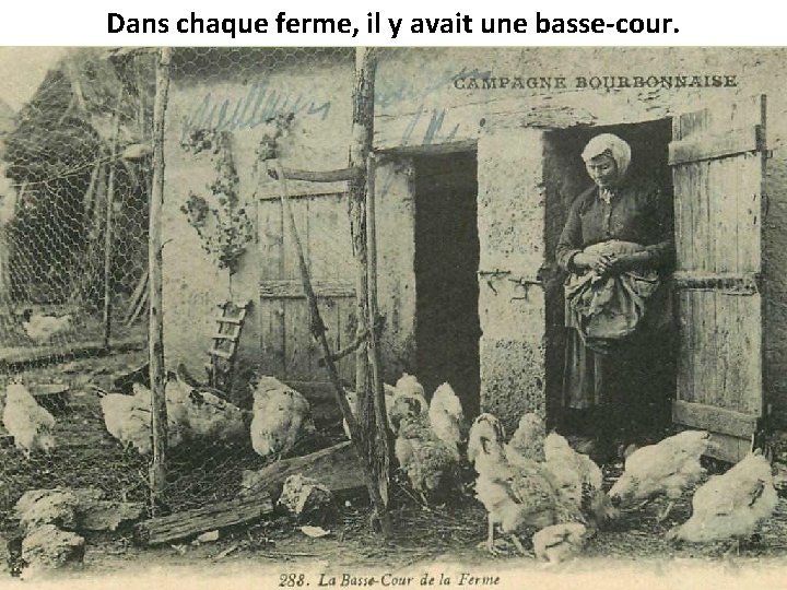 Dans chaque ferme, il y avait une basse-cour. 