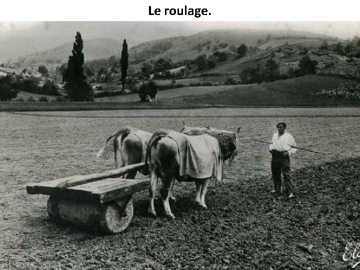 Le roulage. 