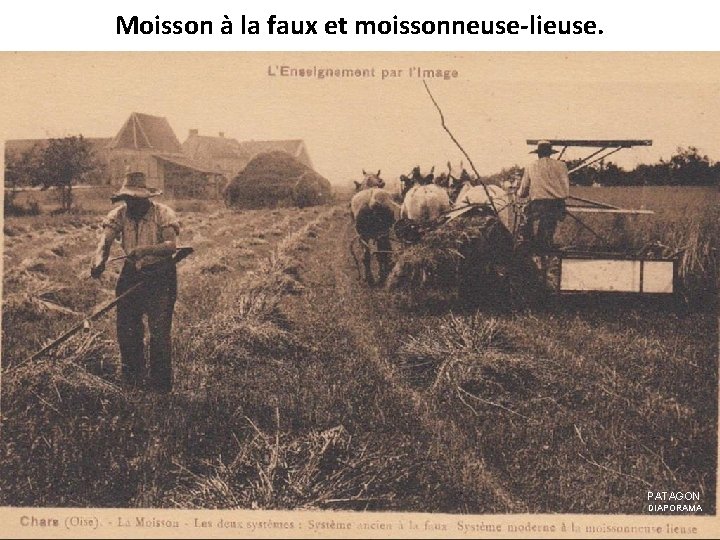 Moisson à la faux et moissonneuse-lieuse. PATAGON DIAPORAMA 