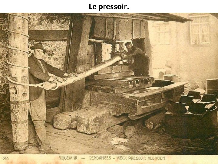 Le pressoir. 