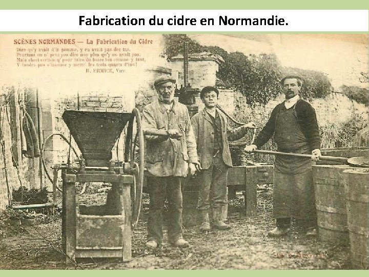 Fabrication du cidre en Normandie. 