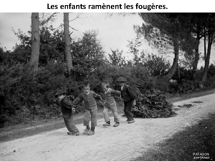 Les enfants ramènent les fougères. PATAGON DIAPORAMA 