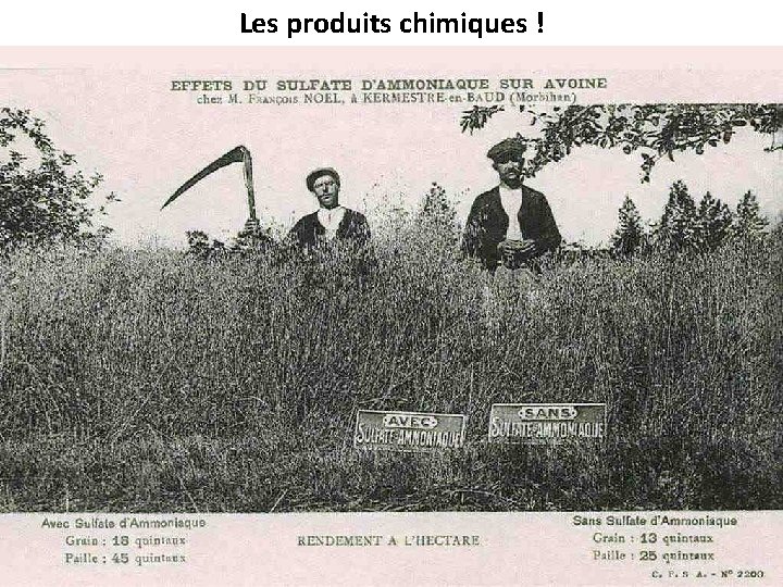 Les produits chimiques ! 