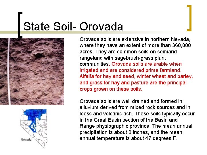 State Soil- Orovada soils are extensive in northern Nevada, where they have an extent