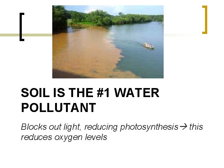 SOIL IS THE #1 WATER POLLUTANT Blocks out light, reducing photosynthesis this reduces oxygen