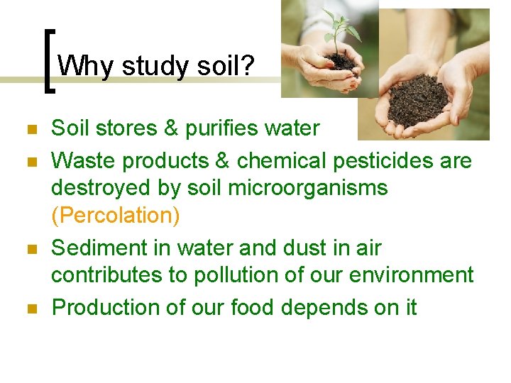 Why study soil? n n Soil stores & purifies water Waste products & chemical