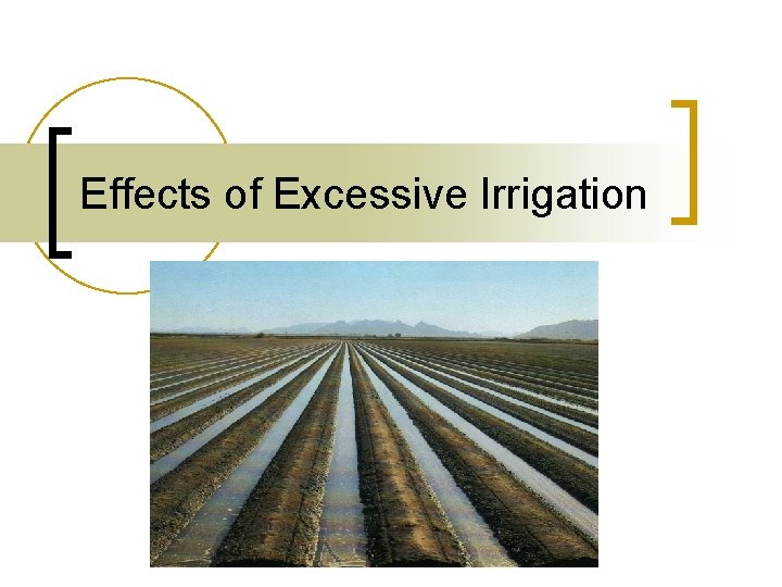 Effects of Excessive Irrigation 