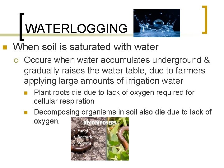 WATERLOGGING n When soil is saturated with water ¡ Occurs when water accumulates underground