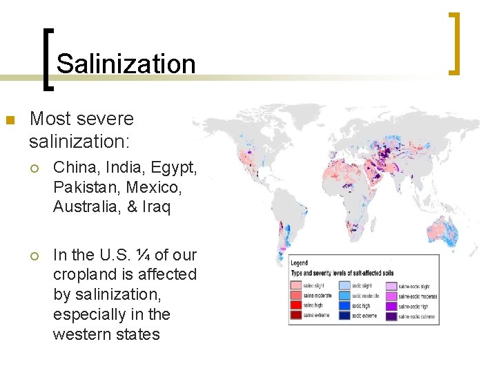 Salinization n Most severe salinization: ¡ China, India, Egypt, Pakistan, Mexico, Australia, & Iraq