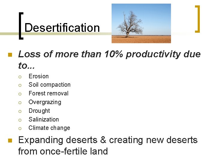Desertification n Loss of more than 10% productivity due to. . . ¡ ¡