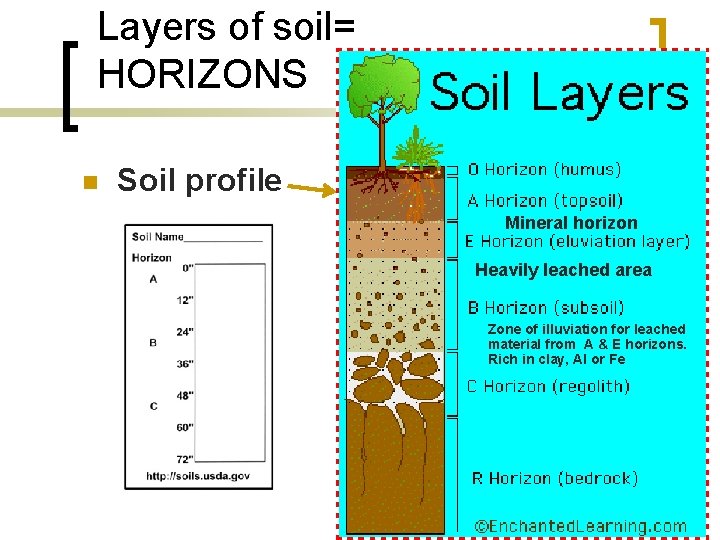 Layers of soil= HORIZONS n Soil profile Mineral horizon Heavily leached area Zone of