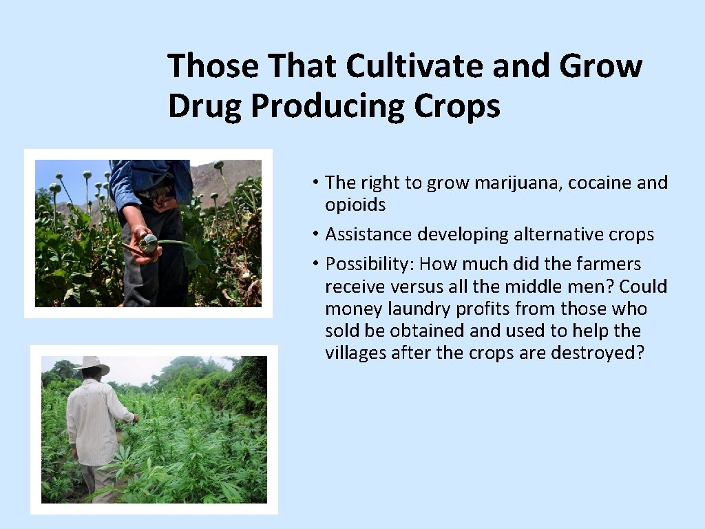 Those That Cultivate and Grow Drug Producing Crops • The right to grow marijuana,