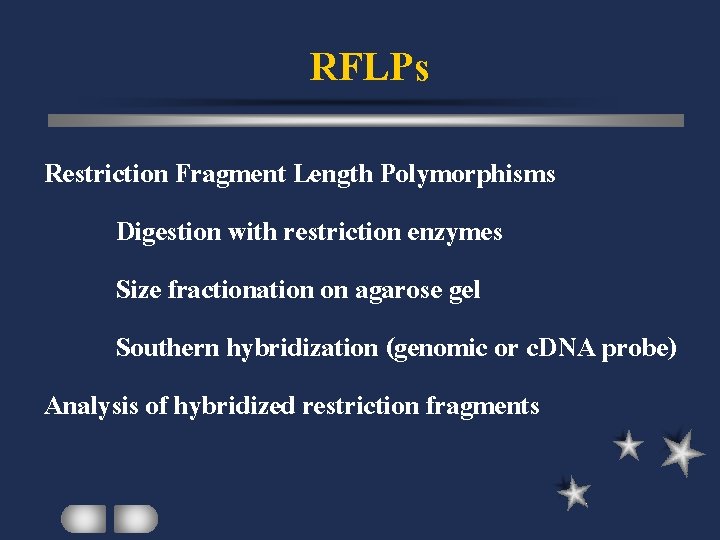 RFLPs Restriction Fragment Length Polymorphisms Digestion with restriction enzymes Size fractionation on agarose gel