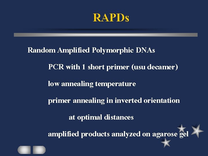 RAPDs Random Amplified Polymorphic DNAs PCR with 1 short primer (usu decamer) low annealing