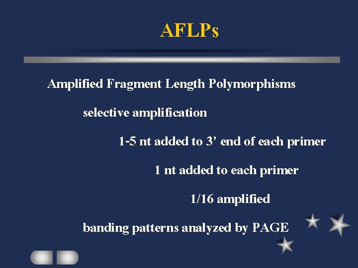 AFLPs Amplified Fragment Length Polymorphisms selective amplification 1 -5 nt added to 3’ end