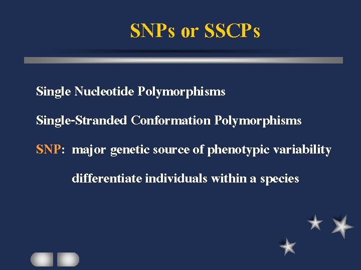 SNPs or SSCPs Single Nucleotide Polymorphisms Single-Stranded Conformation Polymorphisms SNP: major genetic source of