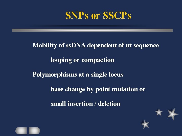 SNPs or SSCPs Mobility of ss. DNA dependent of nt sequence looping or compaction