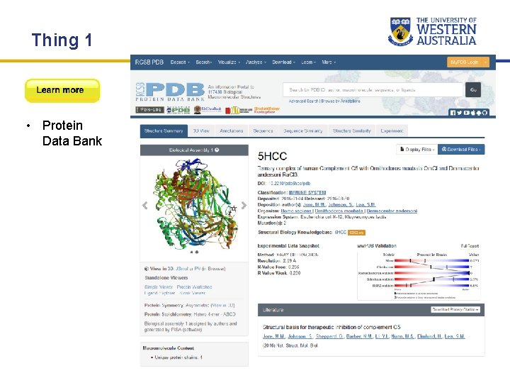 Thing 1 • Protein Data Bank Thing 1 • Protein Data Bank