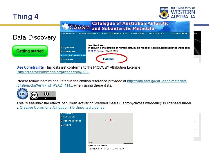 Thing 4 Data Discovery Thing 4 Data Discovery