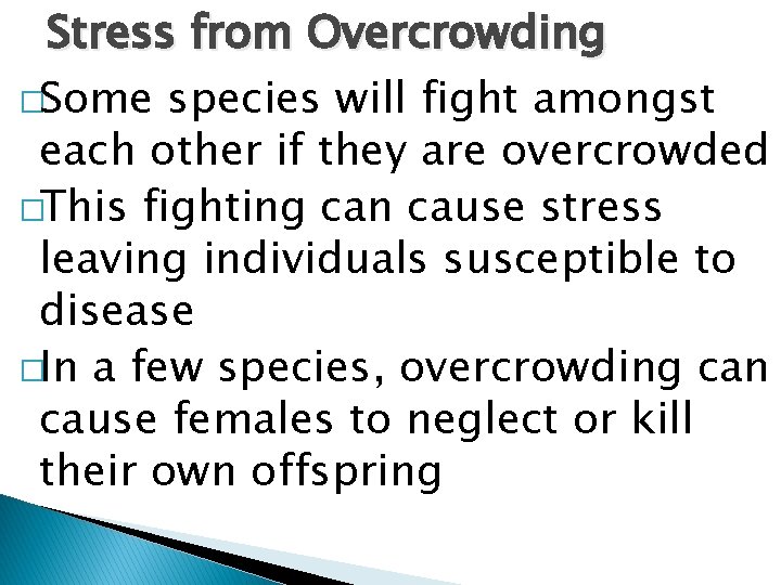 Stress from Overcrowding �Some species will fight amongst each other if they are overcrowded