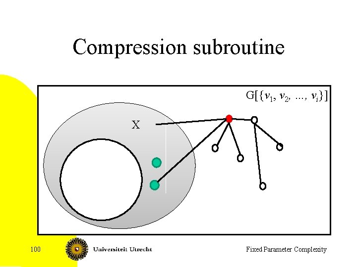 Compression subroutine G[{v 1, v 2, …, vi}] X 100 Fixed Parameter Complexity 