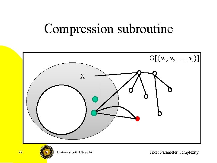 Compression subroutine G[{v 1, v 2, …, vi}] X 99 Fixed Parameter Complexity 