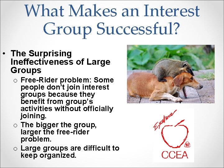 What Makes an Interest Group Successful? • The Surprising Ineffectiveness of Large Groups o
