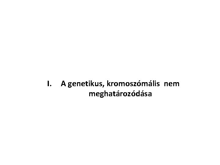 I. A genetikus, kromoszómális nem meghatározódása 