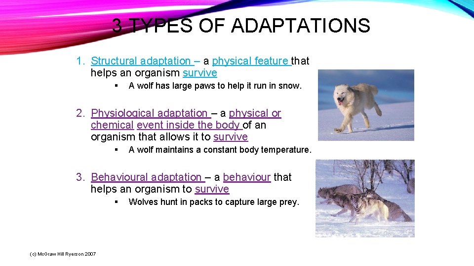 ANIMAL ADAPTATIONS c Mc Graw Hill Ryerson 2007