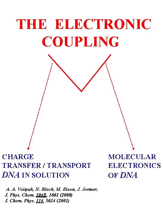THE ELECTRONIC COUPLING CHARGE TRANSFER / TRANSPORT DNA IN SOLUTION A. A. Voityuk, N.