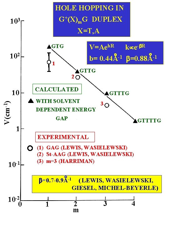 HOLE HOPPING IN G+(X)m. G DUPLEX 103 X=T, A GTG V=Aeb. R k e-