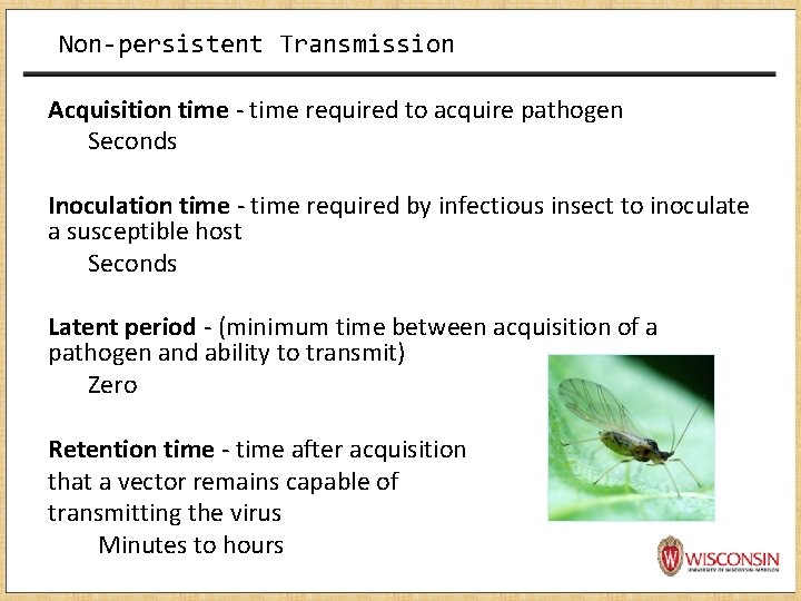 Non-persistent Transmission Acquisition time - time required to acquire pathogen Seconds Inoculation time -