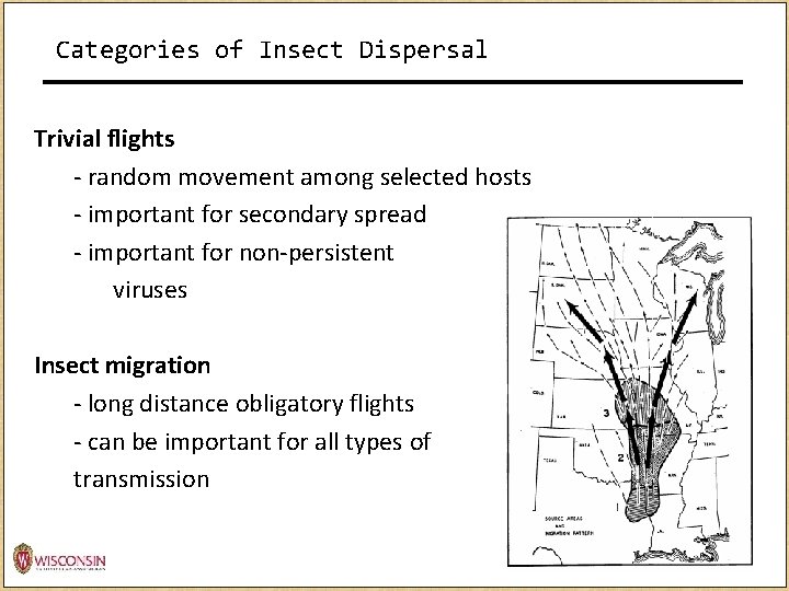 Categories of Insect Dispersal Trivial flights - random movement among selected hosts - important