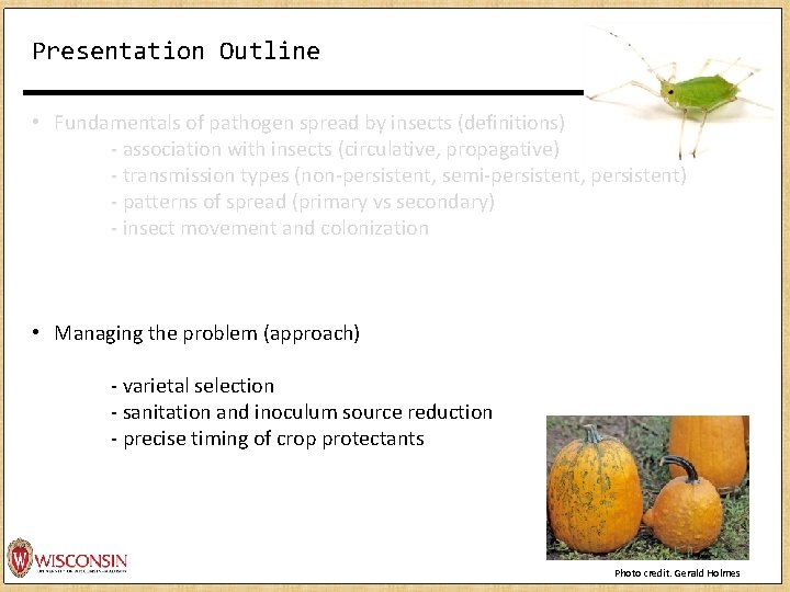 Presentation Outline • Fundamentals of pathogen spread by insects (definitions) - association with insects
