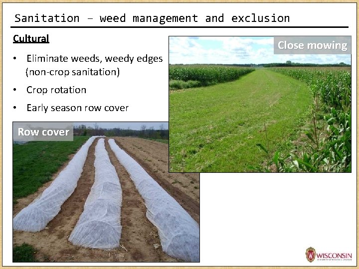 Sanitation – weed management and exclusion Cultural • Eliminate weeds, weedy edges (non-crop sanitation)