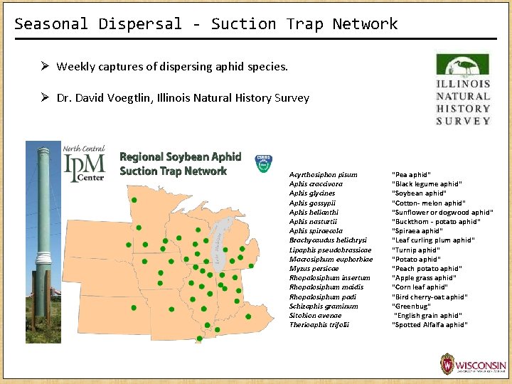 Seasonal Dispersal - Suction Trap Network Ø Weekly captures of dispersing aphid species. Ø