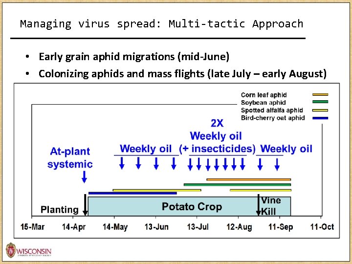 Managing virus spread: Multi-tactic Approach • Early grain aphid migrations (mid-June) • Colonizing aphids