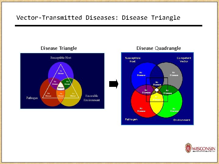 Vector-Transmitted Diseases: Disease Triangle Disease Quadrangle Susceptible Host Competent Vector No Disease Ecology is