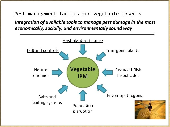 Pest management tactics for vegetable insects Integration of available tools to manage pest damage