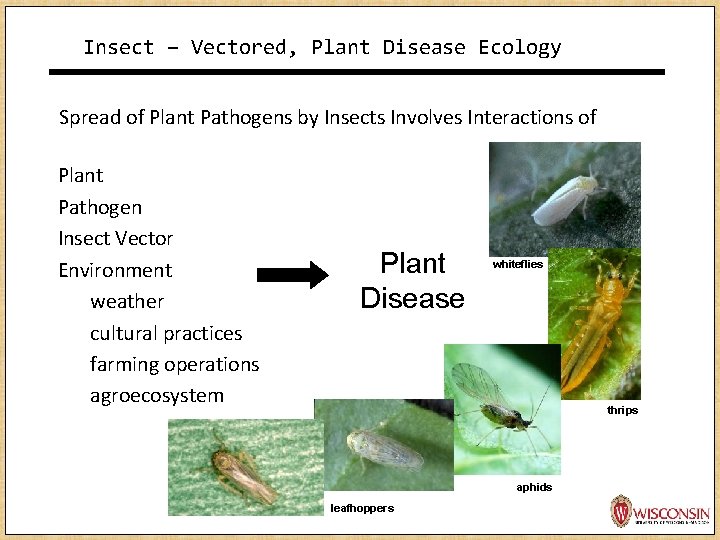 Insect – Vectored, Plant Disease Ecology Spread of Plant Pathogens by Insects Involves Interactions