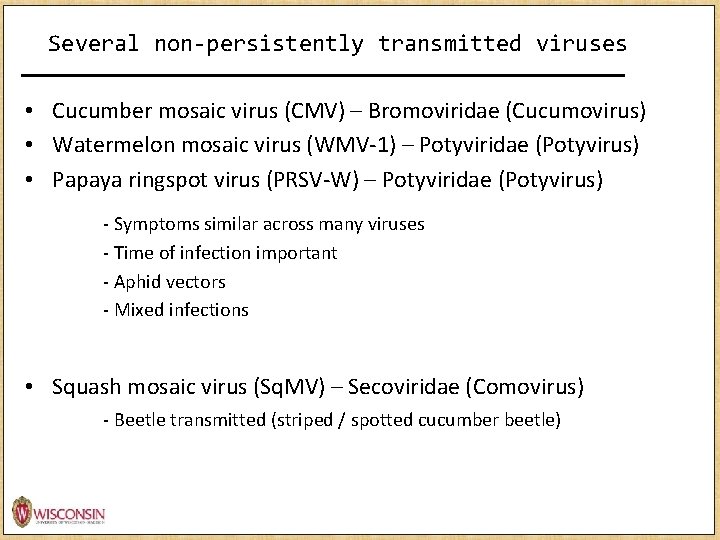 Several non-persistently transmitted viruses • Cucumber mosaic virus (CMV) – Bromoviridae (Cucumovirus) • Watermelon