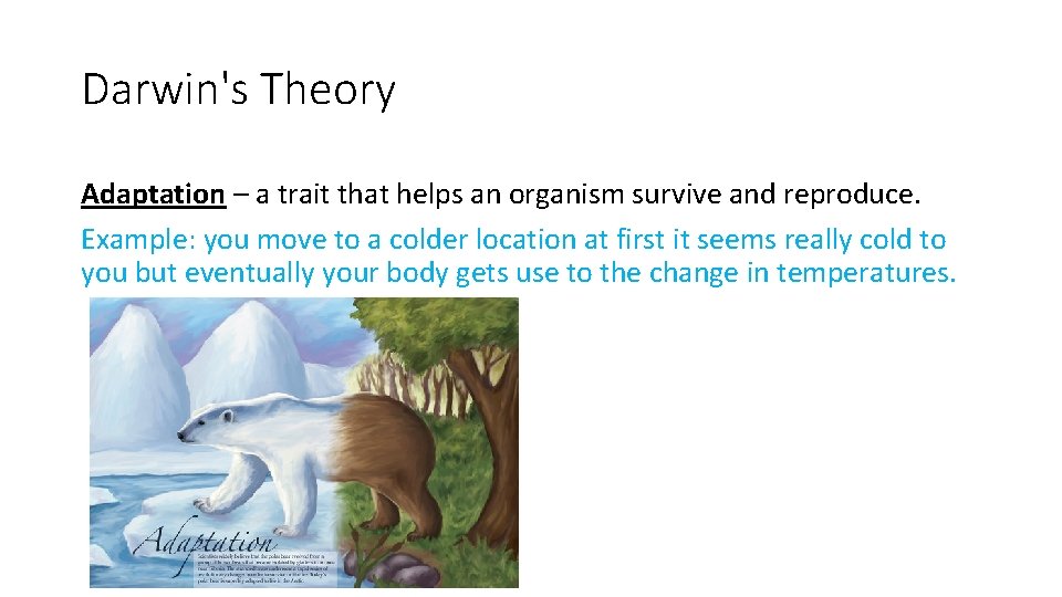 Darwin's Theory Adaptation – a trait that helps an organism survive and reproduce. Example: