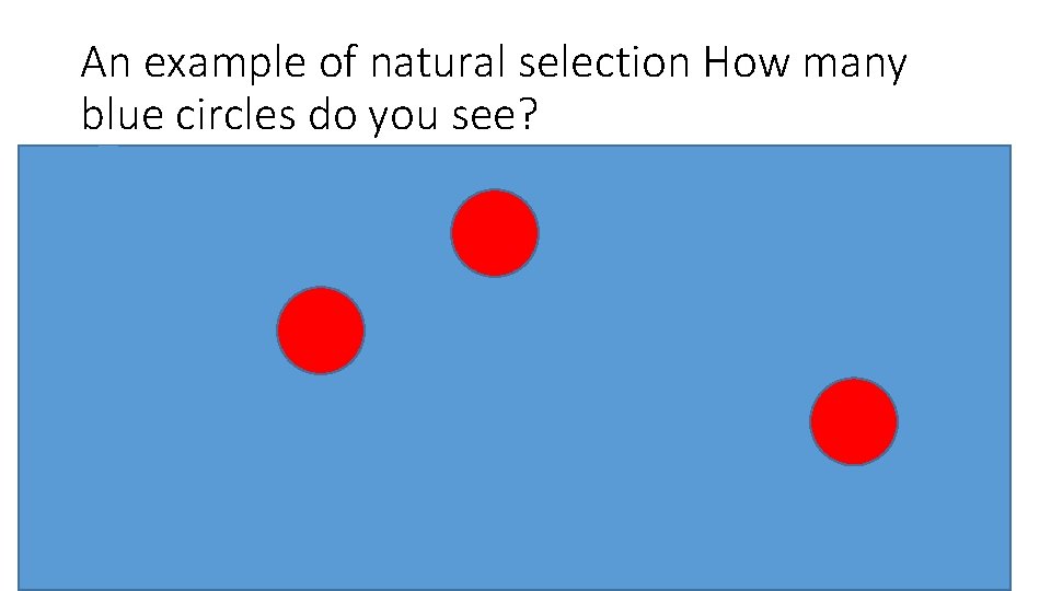 An example of natural selection How many blue circles do you see? 