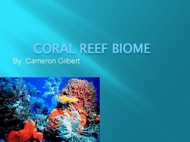 CORAL REEF BIOME By: Cameron Gilbert 