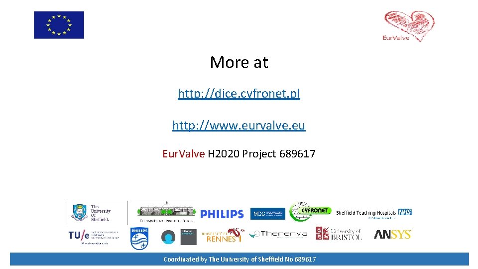 More at http: //dice. cyfronet. pl http: //www. eurvalve. eu Eur. Valve H 2020