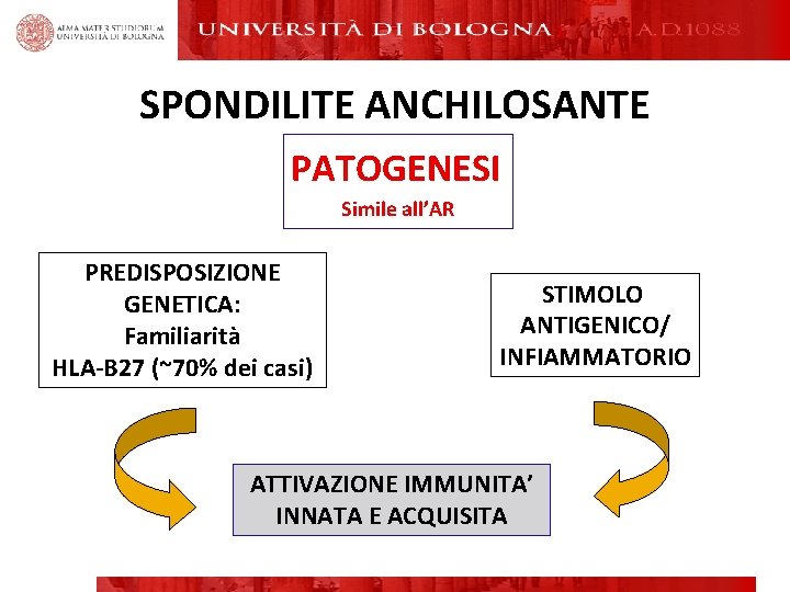 SPONDILITE ANCHILOSANTE PATOGENESI Simile all’AR PREDISPOSIZIONE GENETICA: Familiarità HLA-B 27 (~70% dei casi) STIMOLO SPONDILITE ANCHILOSANTE PATOGENESI Simile all’AR PREDISPOSIZIONE GENETICA: Familiarità HLA-B 27 (~70% dei casi) STIMOLO