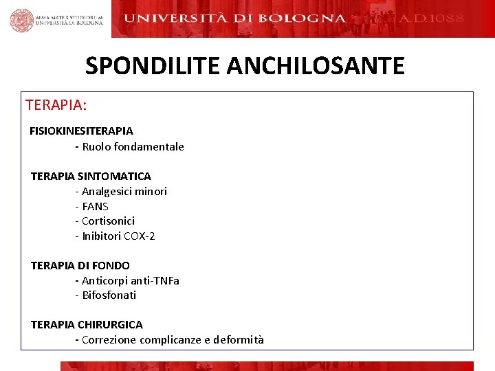 SPONDILITE ANCHILOSANTE TERAPIA: FISIOKINESITERAPIA - Ruolo fondamentale TERAPIA SINTOMATICA - Analgesici minori - FANS SPONDILITE ANCHILOSANTE TERAPIA: FISIOKINESITERAPIA - Ruolo fondamentale TERAPIA SINTOMATICA - Analgesici minori - FANS
